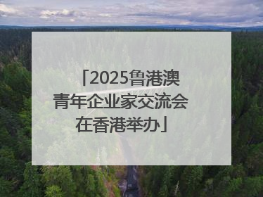 2025鲁港澳青年企业家交流会在香港举办