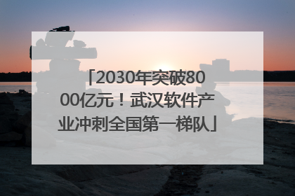 2030年突破8000亿元！武汉软件产业冲刺全国第一梯队