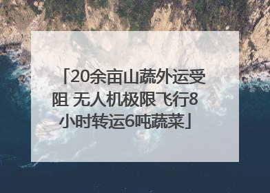 20余亩山蔬外运受阻 无人机极限飞行8小时转运6吨蔬菜