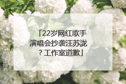 22岁网红歌手演唱会抄袭汪苏泷？工作室道歉