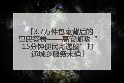 3.7万件包裹背后的惠民答卷——高安邮政“15分钟便民寄递圈”打通城乡服务末梢