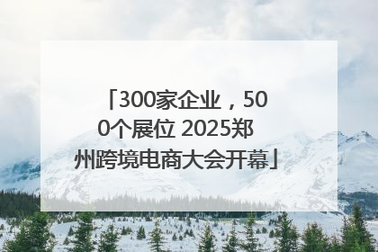 300家企业，500个展位 2025郑州跨境电商大会开幕