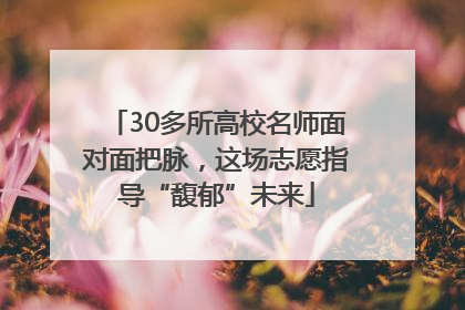 30多所高校名师面对面把脉，这场志愿指导“馥郁”未来