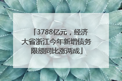 3788亿元，经济大省浙江今年新增债务限额同比涨两成