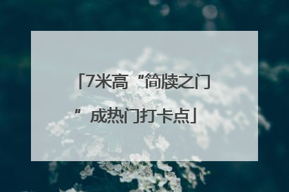 7米高“简牍之门”成热门打卡点