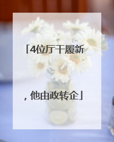 4位厅干履新，他由政转企
