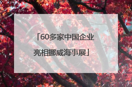 60多家中国企业亮相挪威海事展