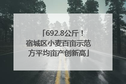 692.8公斤！宿城区小麦百亩示范方平均亩产创新高