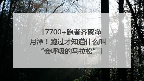 7700+跑者齐聚净月潭！跑过才知道什么叫“会呼吸的马拉松”