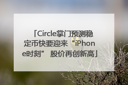 Circle掌门预测稳定币快要迎来“iPhone时刻” 股价再创新高