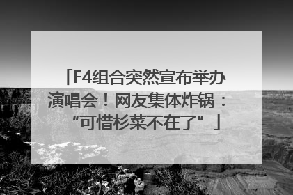 F4组合突然宣布举办演唱会！网友集体炸锅：“可惜杉菜不在了”