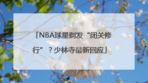 NBA球星剃发“闭关修行”？少林寺最新回应
