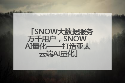 SNOW大数据服务万千用户，SNOW AI量化——打造亚太云端AI量化