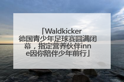 Waldkicker德国青少年足球赛圆满闭幕，指定营养伙伴inne因你陪伴少年前行